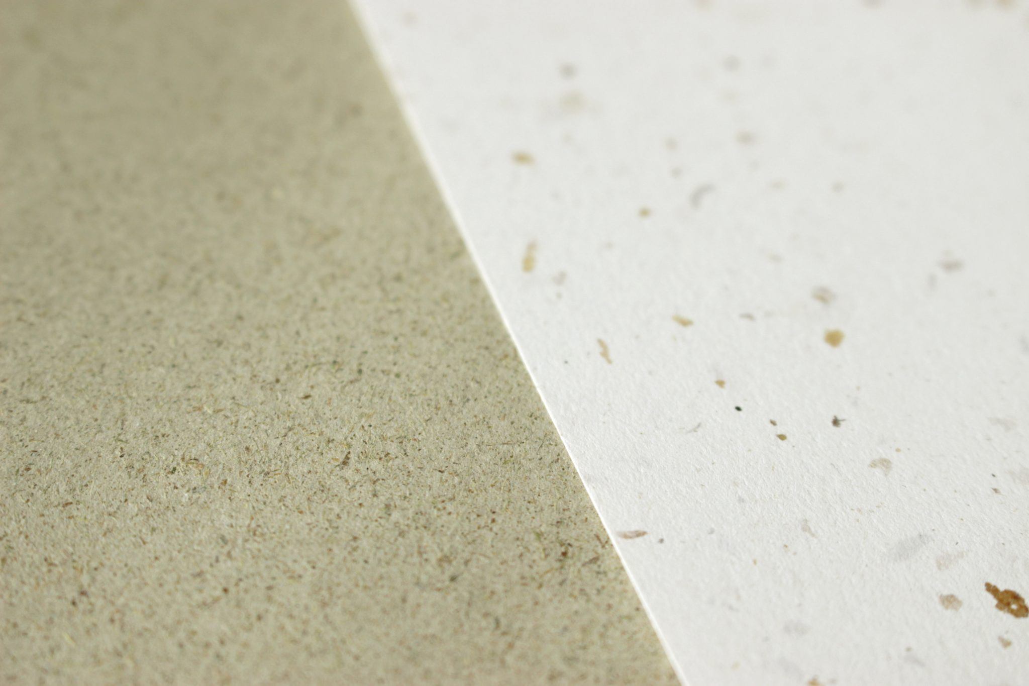 Paper Type 10